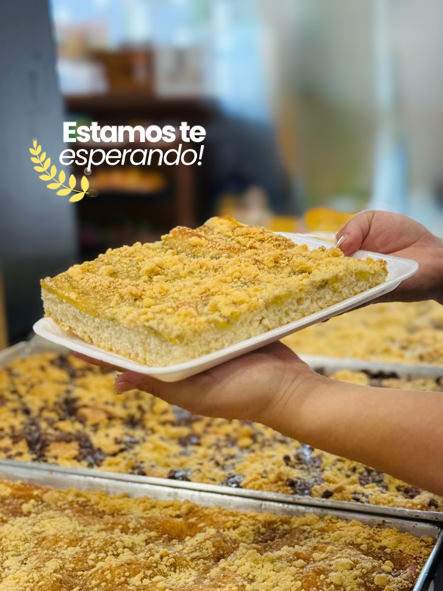 Cucas da Pão Quente Joaia